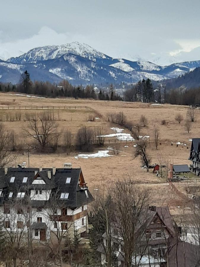 Willa U Magdy Zakopane Exterior photo