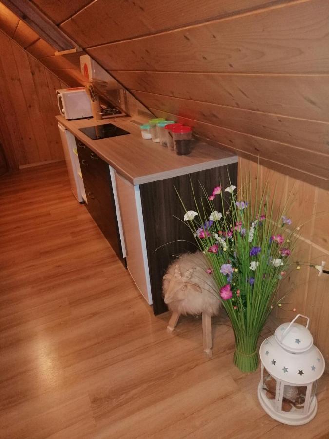 Willa U Magdy Zakopane Exterior photo